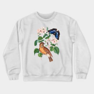 Spotted flycatcher and eggs, bramble and Purple Emperor and longhorned beetle Crewneck Sweatshirt